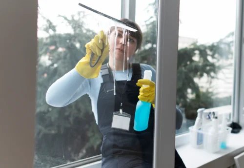 Nettoyage de vitres intérieures et extérieures à Castelreng